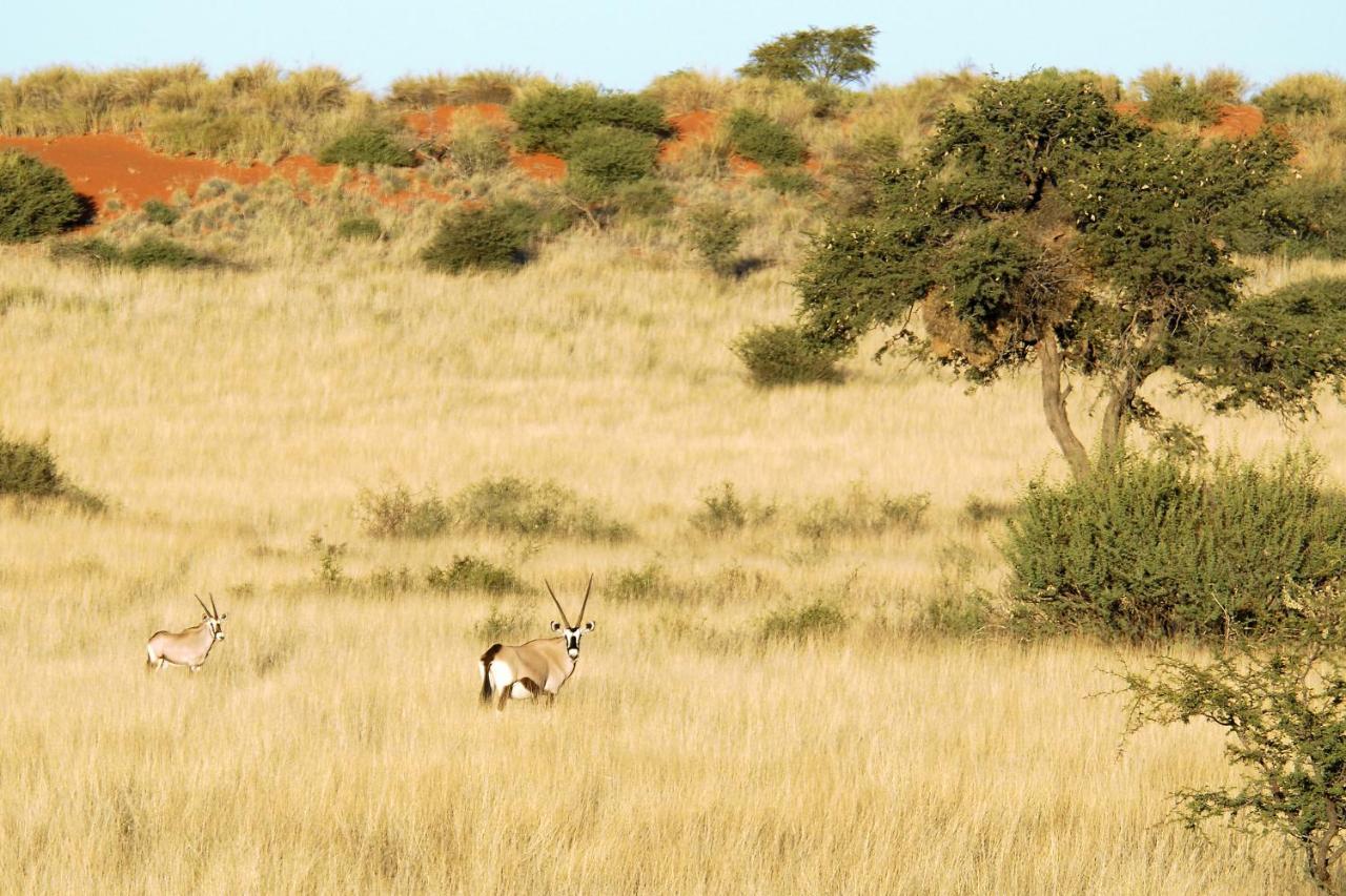 Gondwana Kalahari Anib Lodge Hardap المظهر الخارجي الصورة