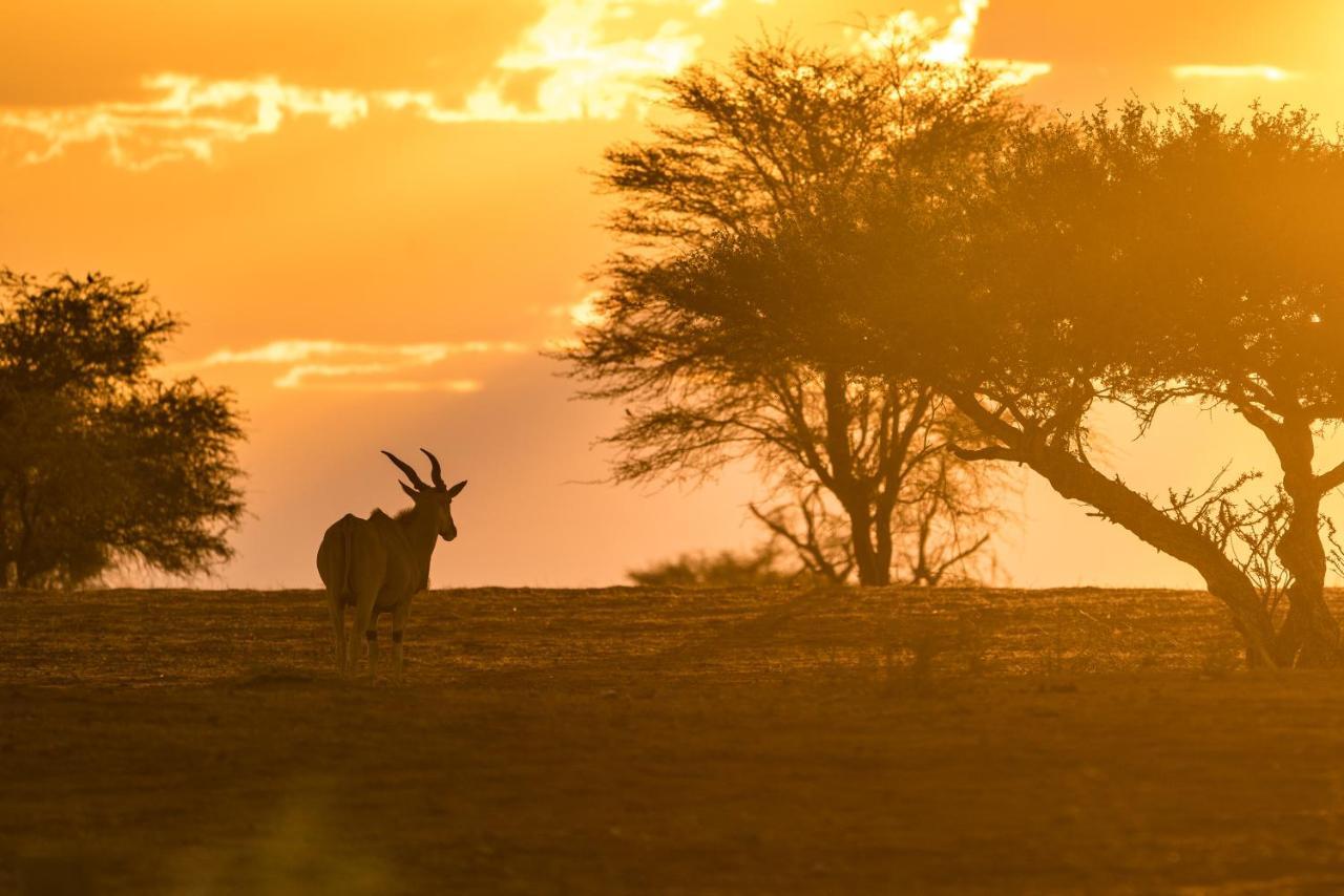 Gondwana Kalahari Anib Lodge Hardap المظهر الخارجي الصورة